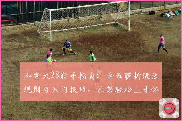 加拿大28新手指南：全面解析玩法规则与入门技巧，让您轻松上手体验