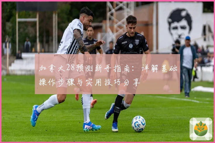 加拿大28预测新手指南：详解基础操作步骤与实用技巧分享