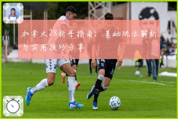 加拿大28新手指南：基础玩法解析与实用技巧分享