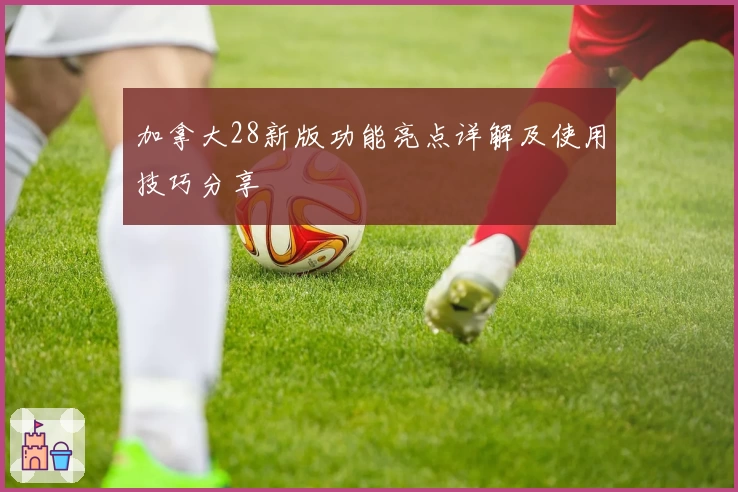 加拿大28新版功能亮点详解及使用技巧分享