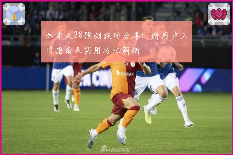 加拿大28预测技巧分享：新用户入门指南及实用方法解析