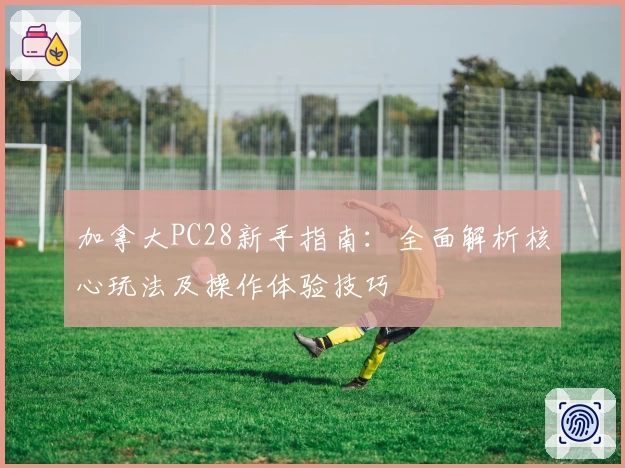 加拿大PC28新手指南：全面解析核心玩法及操作体验技巧