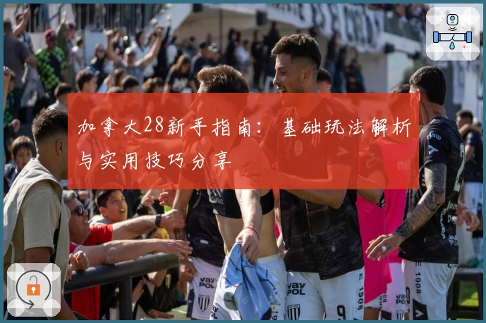 加拿大28新手指南：基础玩法解析与实用技巧分享