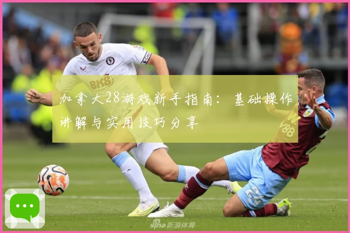 加拿大28游戏新手指南：基础操作讲解与实用技巧分享