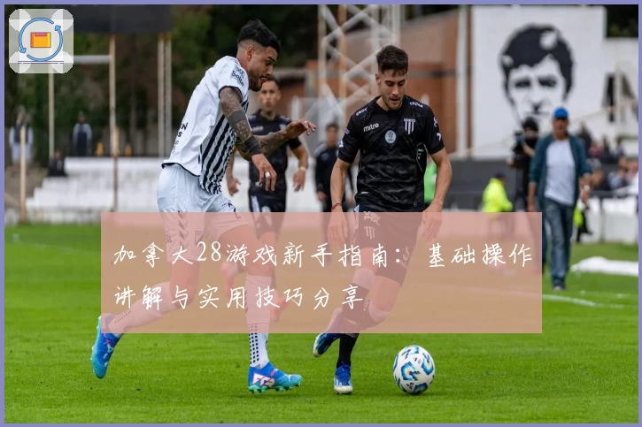 加拿大28游戏新手指南：基础操作讲解与实用技巧分享