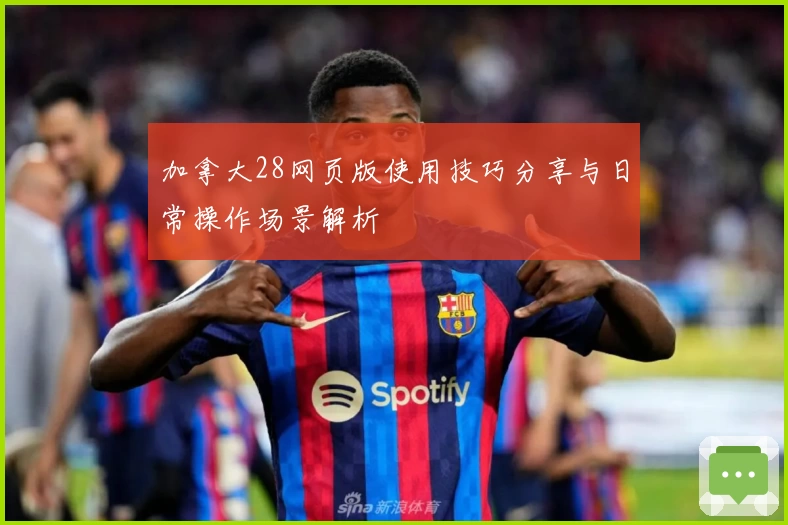 加拿大28网页版使用技巧分享与日常操作场景解析