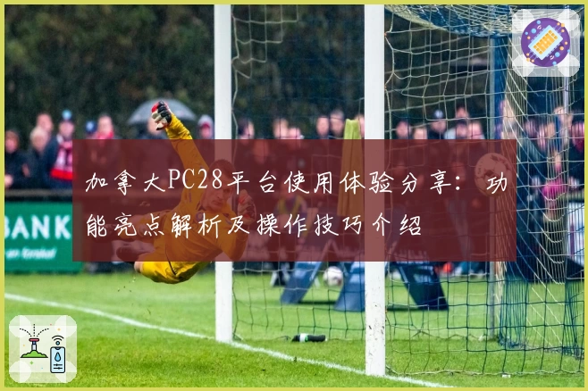 加拿大PC28平台使用体验分享：功能亮点解析及操作技巧介绍