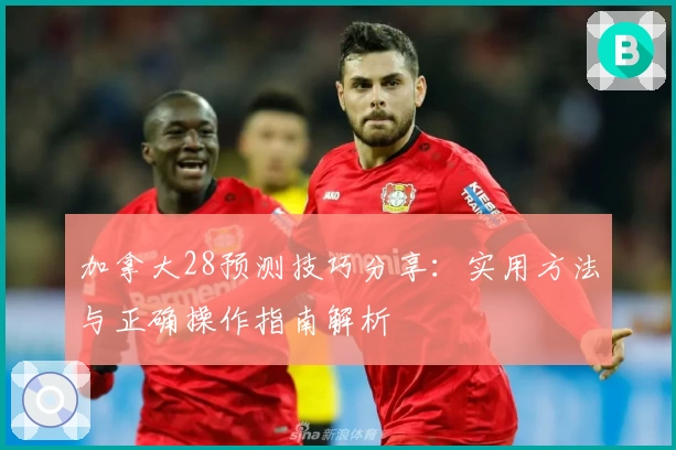 加拿大28预测技巧分享：实用方法与正确操作指南解析