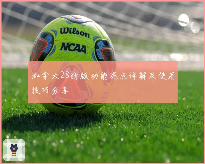 加拿大28新版功能亮点详解及使用技巧分享