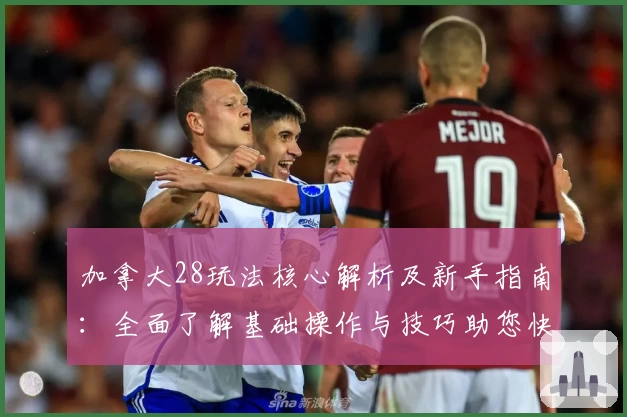 加拿大28玩法核心解析及新手指南：全面了解基础操作与技巧助您快速上手