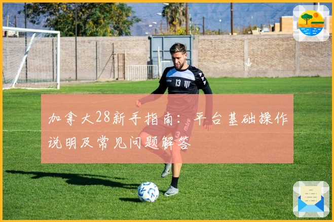 加拿大28新手指南：平台基础操作说明及常见问题解答